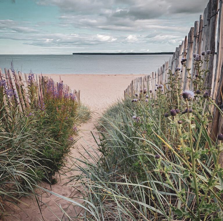 Walkway through the seagrass to broughty ferry beach